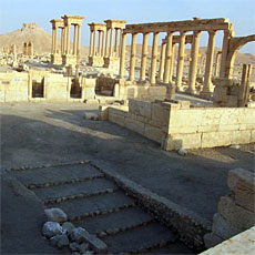 Palmyra